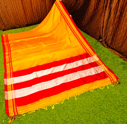 Irkal Cotton Saree for Women Phakkat Mango Border Close-up